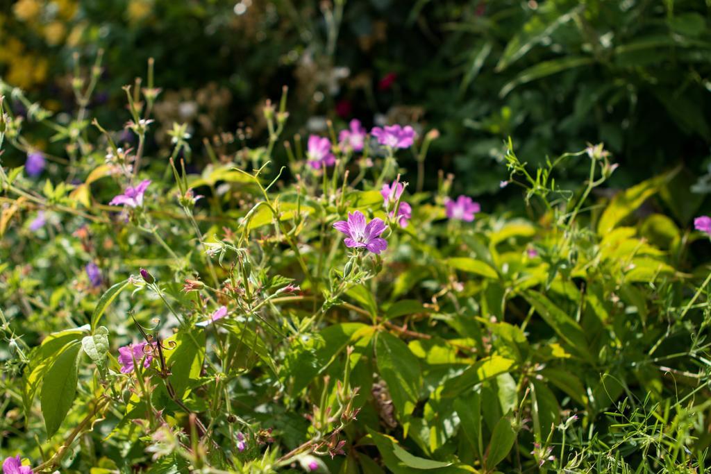 Mareham House Bed & Breakfast Sleaford Zewnętrze zdjęcie